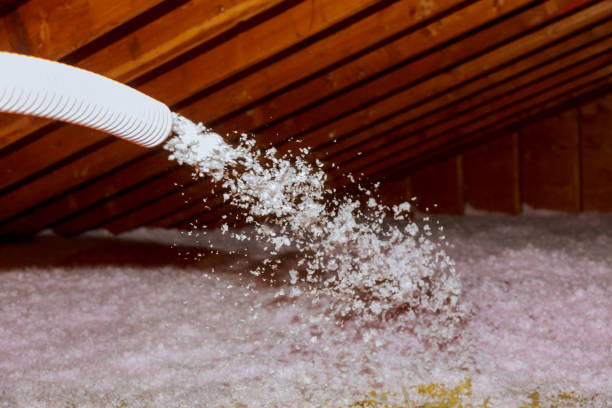 Best Affordable Insulation Services  in Woodmoor, CO