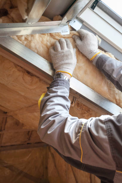 Best Attic Insulation Installation  in Woodmoor, CO