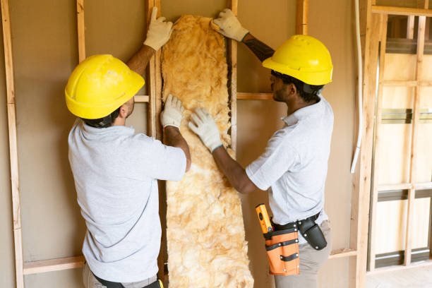 Best Insulation Inspection Services  in Woodmoor, CO