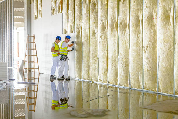 Best Soundproof Insulation Installation  in Woodmoor, CO